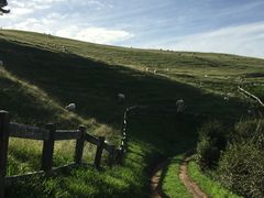 -霍比特人村