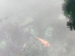 -百脉泉景区