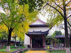-郑和公园