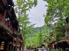 -青城山