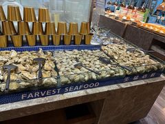 -丰卓会海鲜自助(中润大道店)