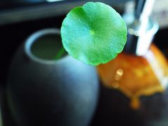 -九华山聚龙大酒店