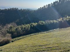 -敬亭山风景名胜区