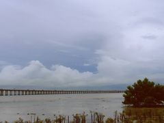 -宝安西湾红树林湿地公园