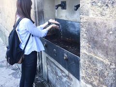 -圣母百花大教堂穹顶