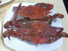 -海岛渔村大酒店(云霄路店)