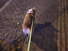 -茶百道(昌里路店)