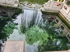 -趵突泉景区