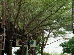 -三亚火车头万人海鲜广场