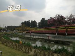 -天府芙蓉园