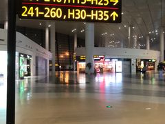 -郑州新郑国际机场-T2航站楼