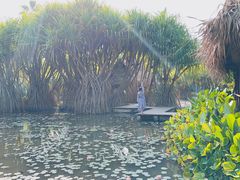 -中国科学院西双版纳热带植物园
