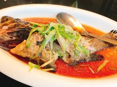 清蒸老虎斑-徐记海鲜(阿波罗店)