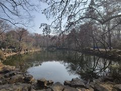 -灵谷景区
