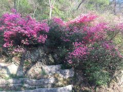 -木兰云雾山