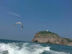 -海驴岛(荣成市)