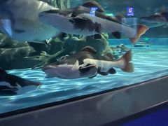 -常州海昌海洋探索馆