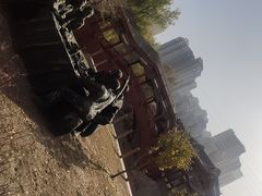-水车博览园