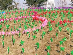 -大兴滨河森林公园