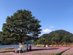 -广州市石门国家森林公园