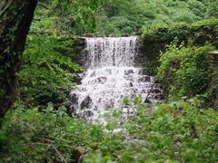 -素山寺森林公园