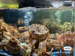 -綱元·海鲜豆捞(明州里店)