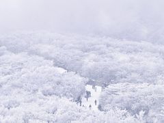 -安吉龙王山风景区