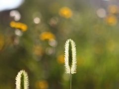 -蟠龙山长城景区