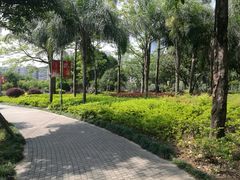 -光明港公园