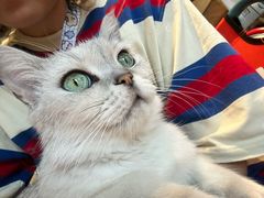 -小时光咖啡馆(开森度假森林店)