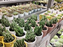 -鹿岛生活(熙地港店)