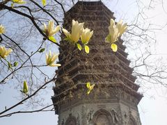 -玲珑塔公园