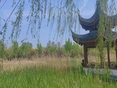 -水西公园