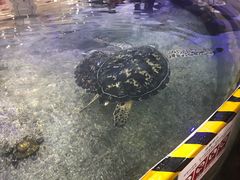 -鸿通城购物中心