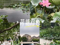 -新江湾城公园