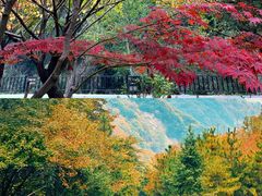 -少华山国家森林公园