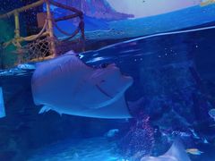 -沈阳海洋探索中心