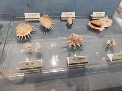 -浙江自然博物院(杭州馆)