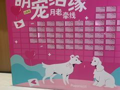 -帕帕拉兹宠物(亚洲旗舰店)