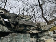 -恭王府博物馆