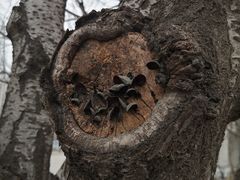 -长安大学(北校区)