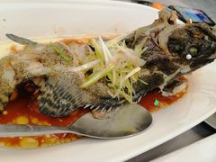 清蒸老虎斑-徐记海鲜(大雁塔|金都店)