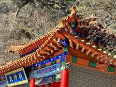 -大芦花风景区