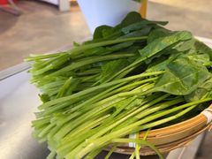 -生活如沸·顺德水牛奶火锅(大学路店)