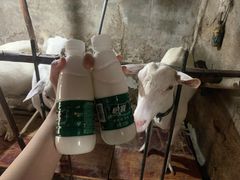-揭阳楼