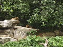 -广州长隆野生动物世界