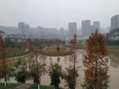 -沐仙湖湿地公园