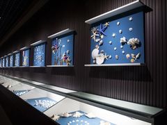 -青岛贝壳博物馆