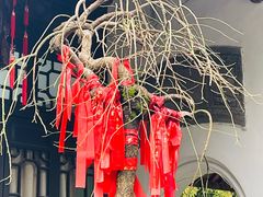 -杭州黄龙洞