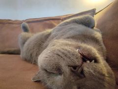 -Me Coffee下午茶艺术空间